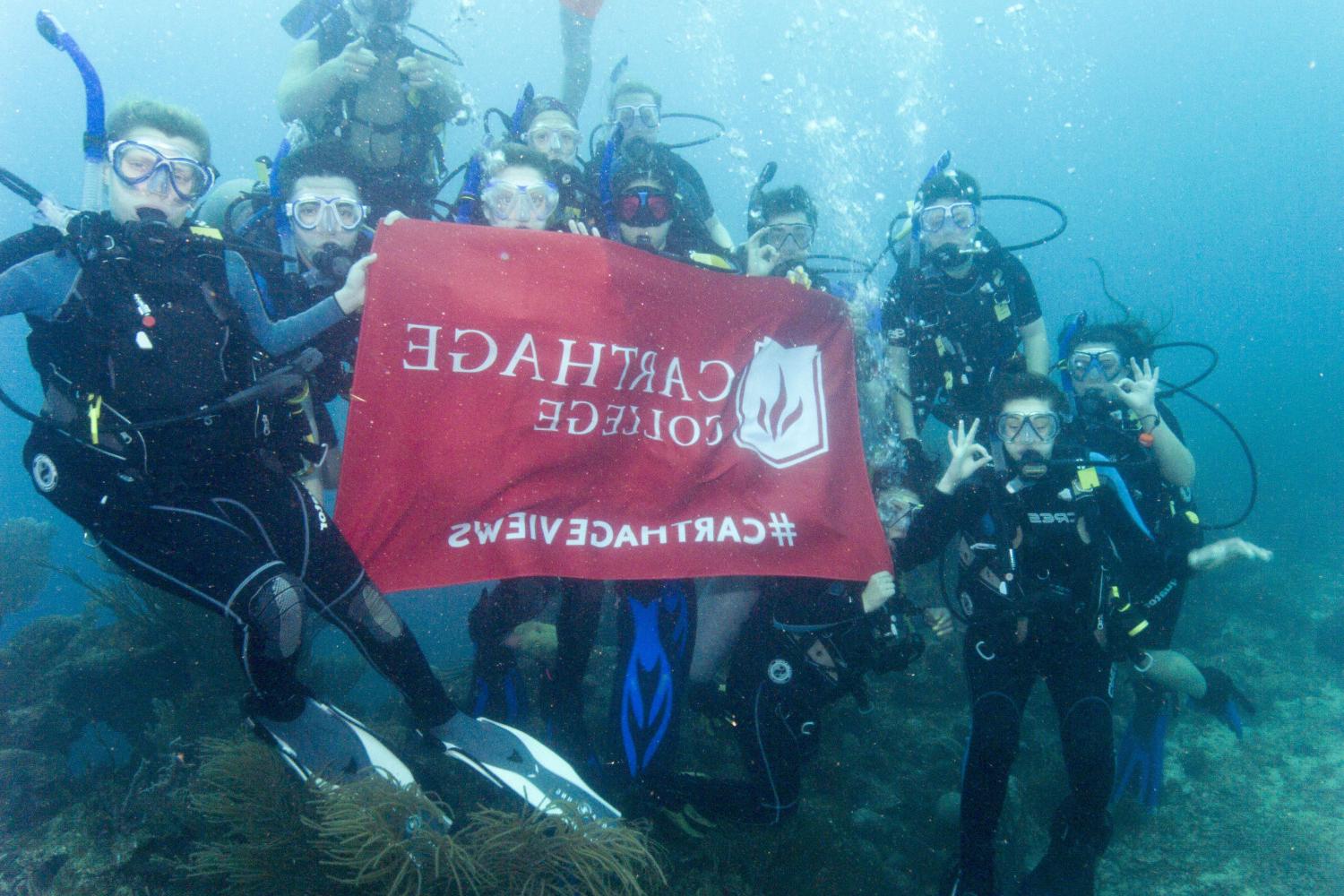 学生们手持<a href='http://sf5t.tianbo588.net'>bv伟德ios下载</a>旗帜，在j学期洪都拉斯游学之旅中潜水.